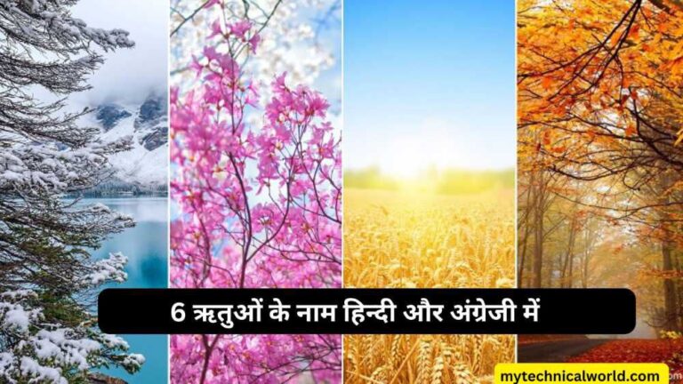 All Seasons name in Hindi